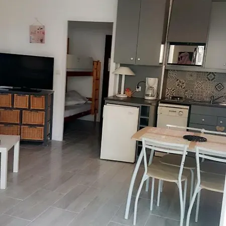 Apartment Plein Coeur Du Grau Du Roi - Les Cigales De La Mer - 100M De La Plage *